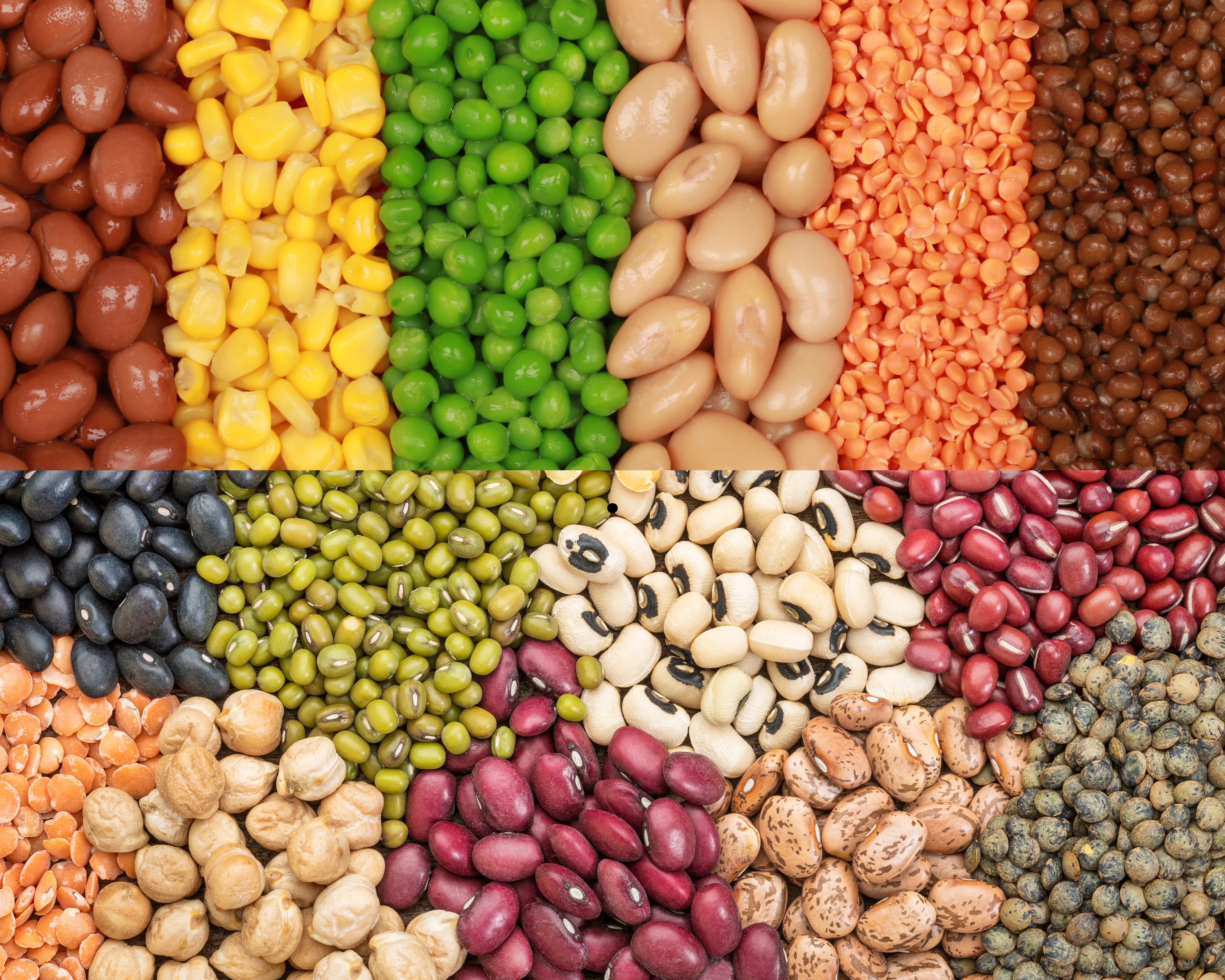 Premium Urid Dal 1KG