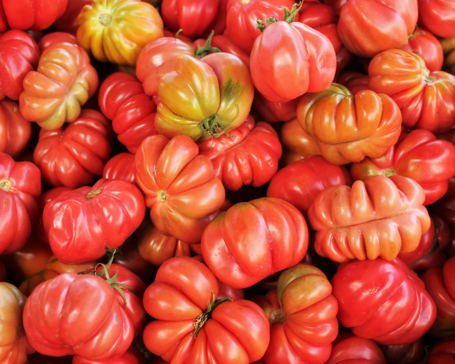 Heirloom Vine Tomatoes